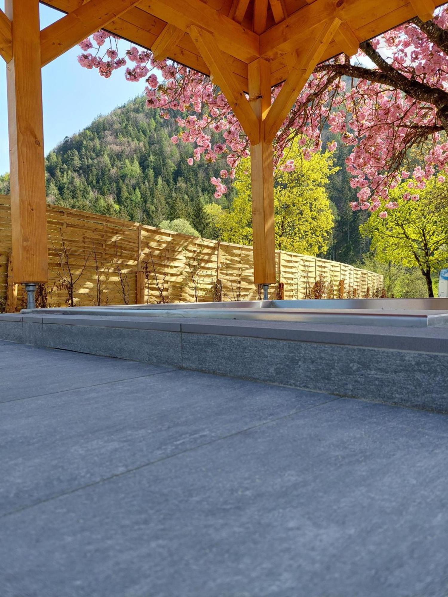 茵特斯托德Hofpower'S Mountain Feeling公寓 外观 照片